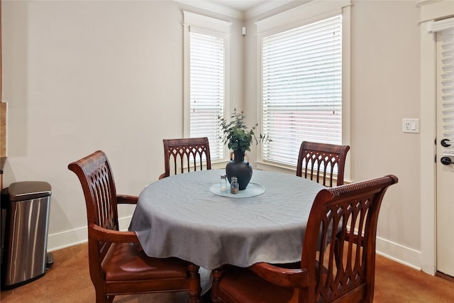 dining space featuring carpet flooring