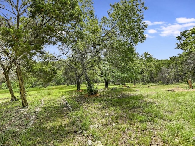 view of local wilderness featuring a wooded view