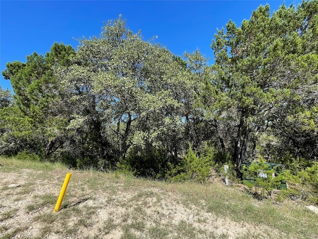 Listing photo 3 for 7717 Calcutta Run Dr, Jonestown TX 78645