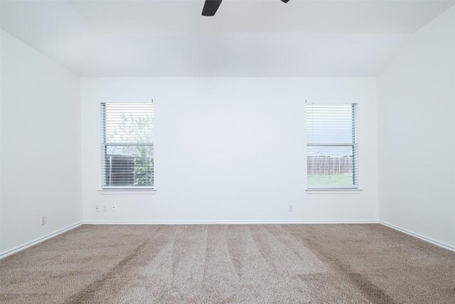 116 Holland St NE, Hutto, TX 78634 - photo 16