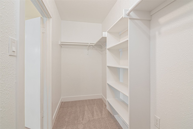 spacious closet with carpet flooring