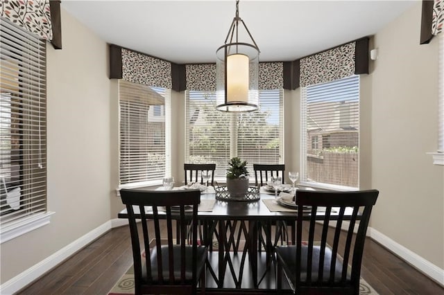 dining room featuring dark wood-type flooring