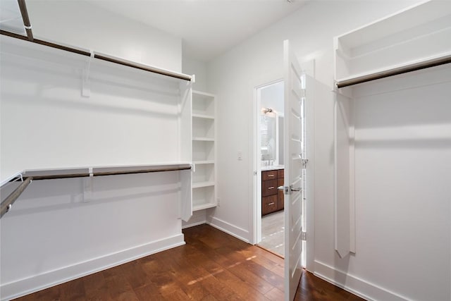 walk in closet with dark hardwood / wood-style floors