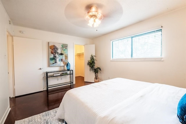 bedroom featuring dark hardwood / wood-style floors, a walk in closet, ceiling fan, and a closet