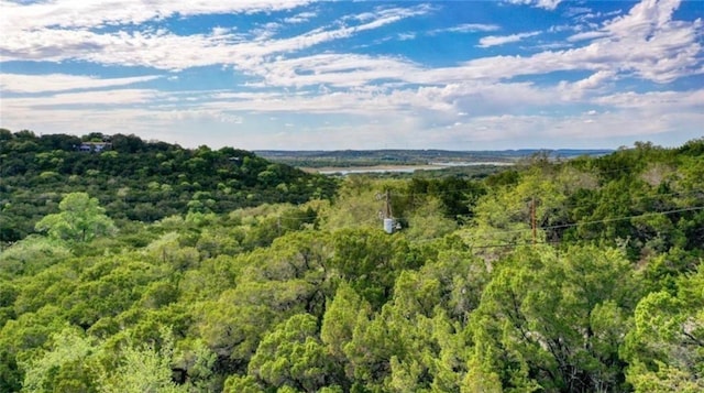 Listing photo 3 for 20819 Roundup Trl, Lago Vista TX 78645