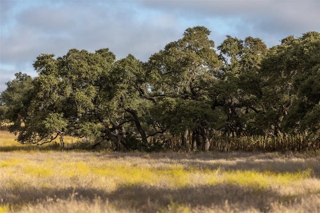 LOT1 Legacy Hills Dr, Johnson City TX, 78636 land for sale