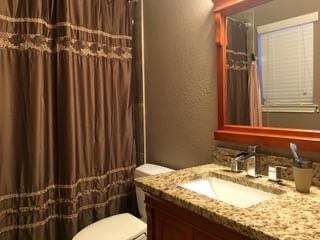 bathroom featuring vanity, toilet, and a shower with shower curtain