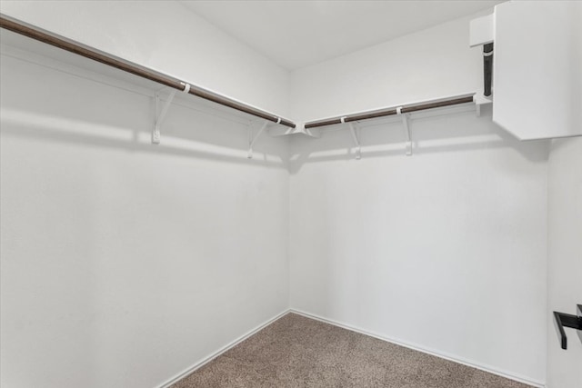 walk in closet featuring carpet