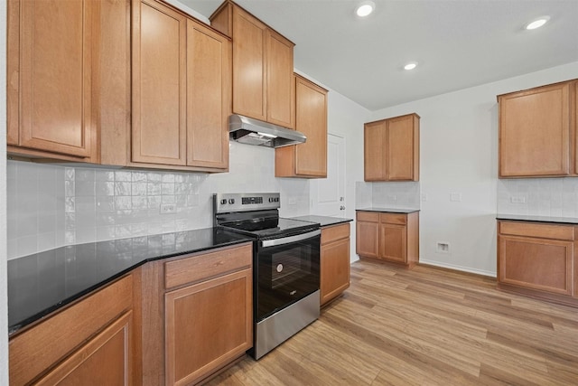 213 Skipping Stone Run, Georgetown, TX 78628 - kitchen featuring stainless steel range with electric cooktop, under cabinet range hood, light wood-type flooring, decorative backsplash, and recessed lighting