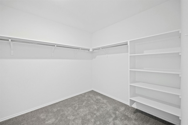 spacious closet with carpet flooring