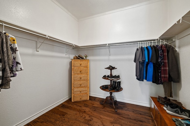 walk in closet with dark hardwood / wood-style flooring