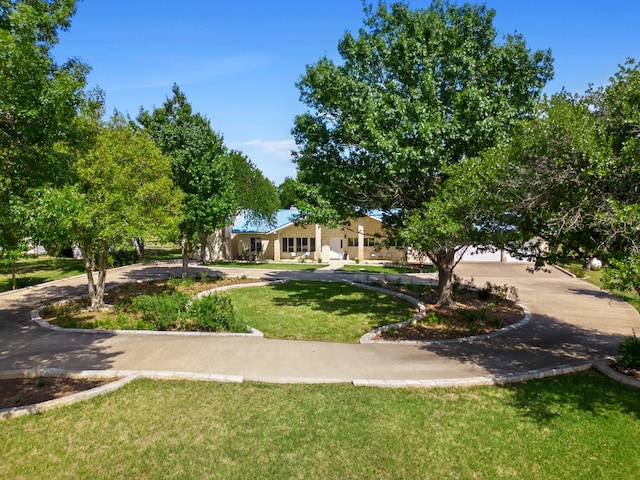 view of community with a yard