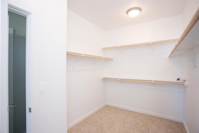 walk in closet with light colored carpet