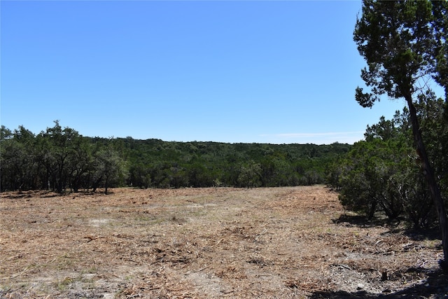 24369 Round Mountain Rd Unit 6, Leander TX, 78641 land for sale