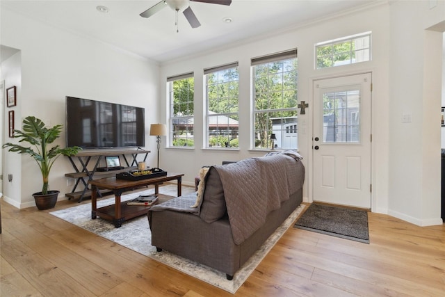 living room with crown molding, light hardwood / wood-style flooring, and ceiling fan