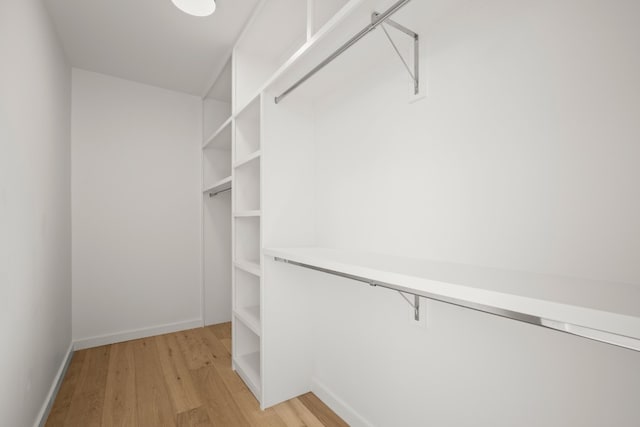 spacious closet with light hardwood / wood-style flooring