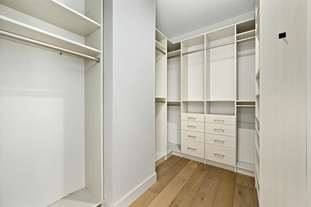 spacious closet featuring light hardwood / wood-style floors