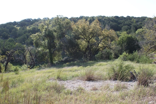 Listing photo 2 for LOT97 Saddle Ridge Dr, Bertram TX 78605