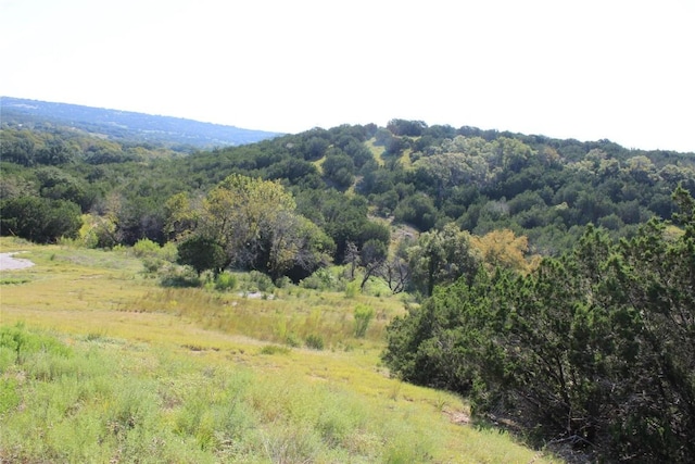 LOT100 Saddle Ridge Dr, Bertram, TX 78605 - photo 1