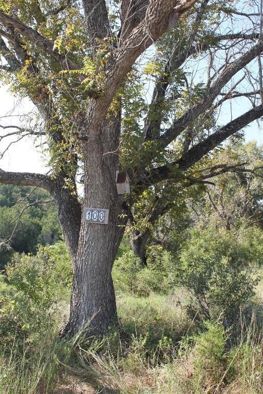 LOT100 Saddle Ridge Dr, Bertram, TX 78605 - photo 3