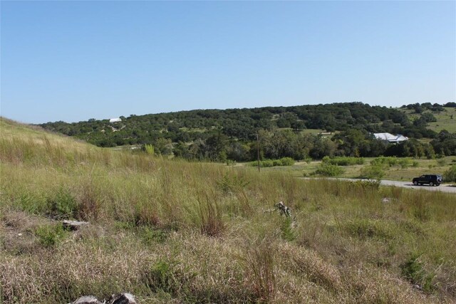 LOT100 Saddle Ridge Dr, Bertram, TX 78605 - photo 7