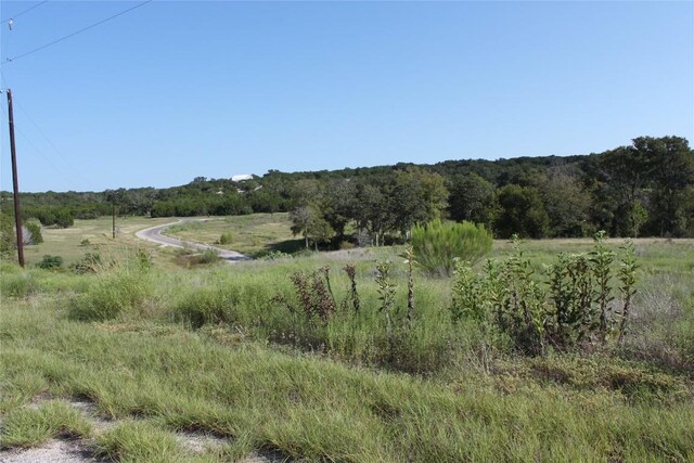 LOT100 Saddle Ridge Dr, Bertram, TX 78605 - photo 11
