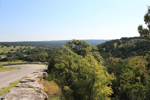 LOT100 Saddle Ridge Dr, Bertram, TX 78605 - photo 16