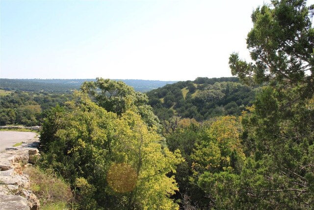 LOT100 Saddle Ridge Dr, Bertram, TX 78605 - photo 17