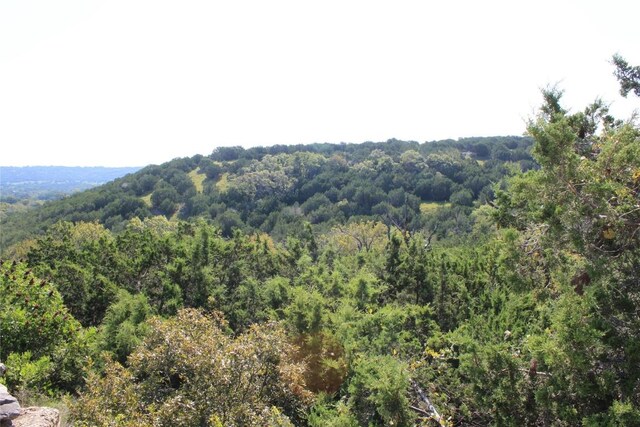 LOT100 Saddle Ridge Dr, Bertram, TX 78605 - photo 18