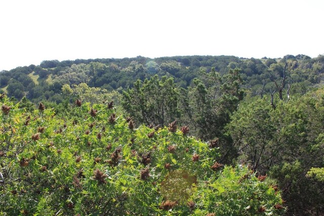 LOT100 Saddle Ridge Dr, Bertram, TX 78605 - photo 20