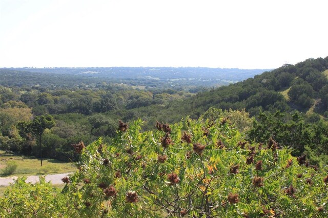 LOT100 Saddle Ridge Dr, Bertram, TX 78605 - photo 21
