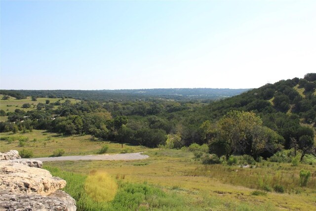 LOT100 Saddle Ridge Dr, Bertram, TX 78605 - photo 22