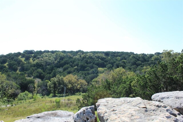 LOT100 Saddle Ridge Dr, Bertram, TX 78605 - photo 23
