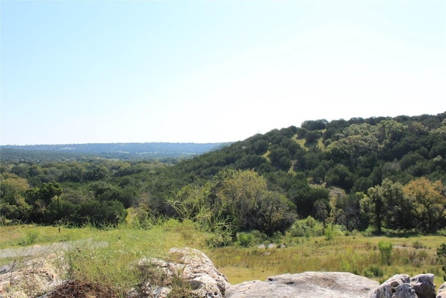 LOT100 Saddle Ridge Dr, Bertram, TX 78605 - photo 24