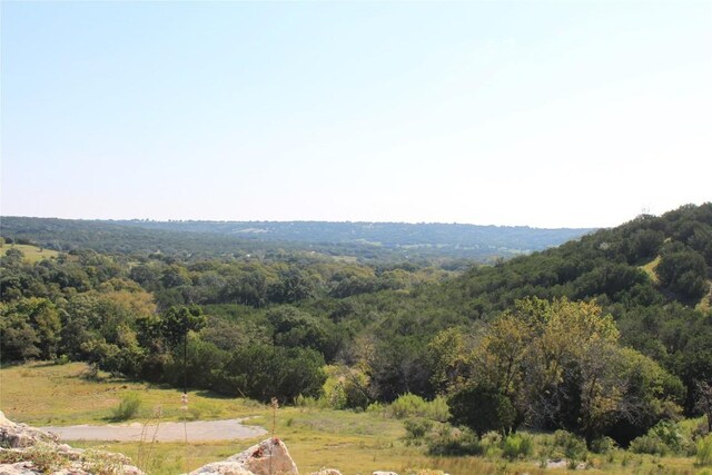 LOT100 Saddle Ridge Dr, Bertram, TX 78605 - photo 25