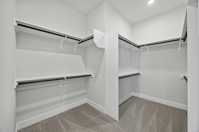 spacious closet with light colored carpet