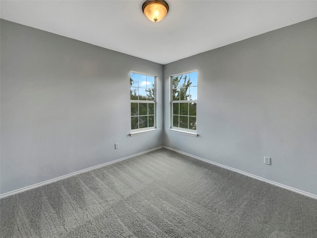 unfurnished room featuring carpet