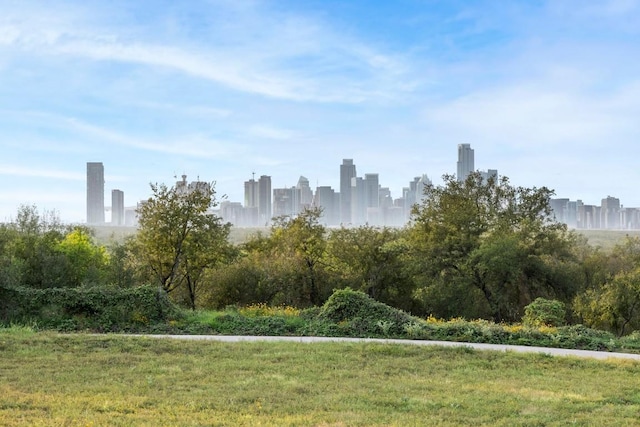 6217 Clovis St Unit B, Austin, TX 78741 - surrounding community with a skyline view