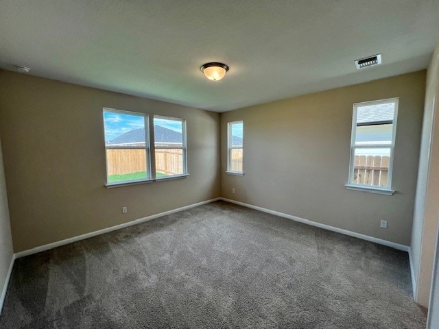 carpeted empty room with a wealth of natural light