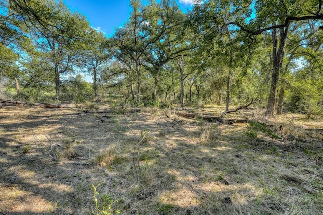12222 N Fm 487, Buckholts, TX 76518 - view of local wilderness