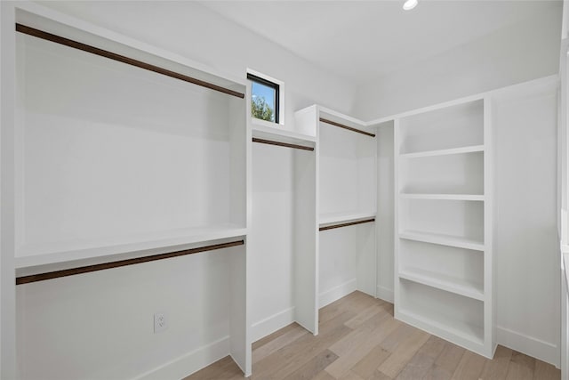 spacious closet featuring light wood-type flooring