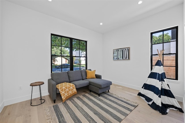 living room with a healthy amount of sunlight and light wood-type flooring