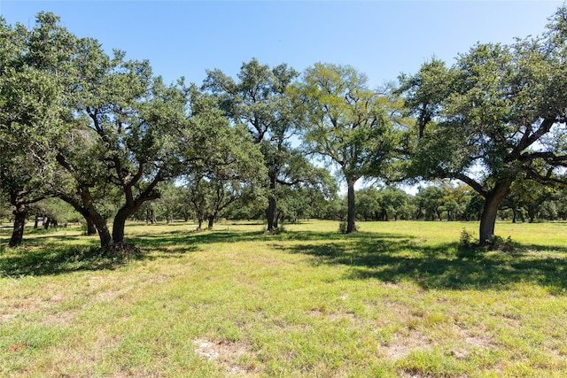 109 Estancia Way, Georgetown TX, 78628 land for sale