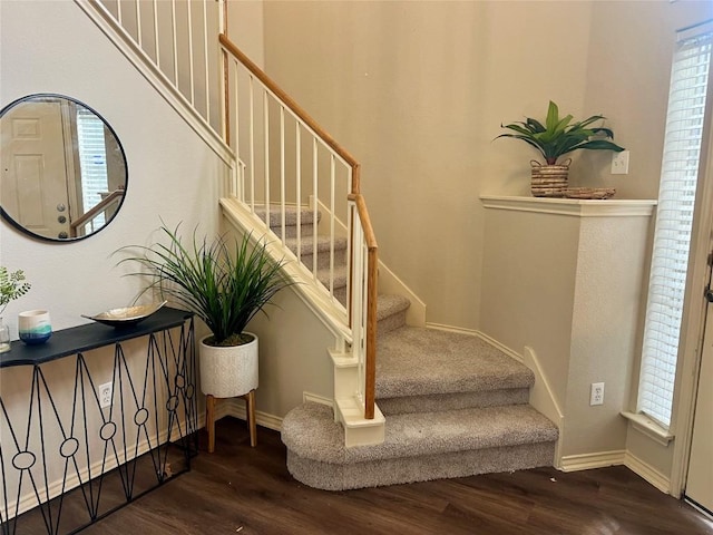 stairway featuring hardwood / wood-style flooring