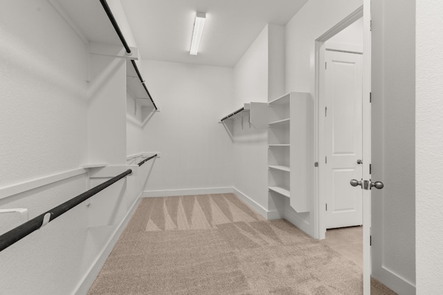 spacious closet with light carpet