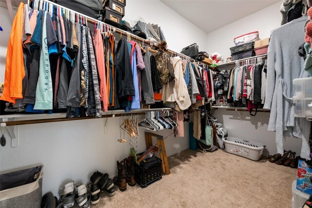 walk in closet with light colored carpet