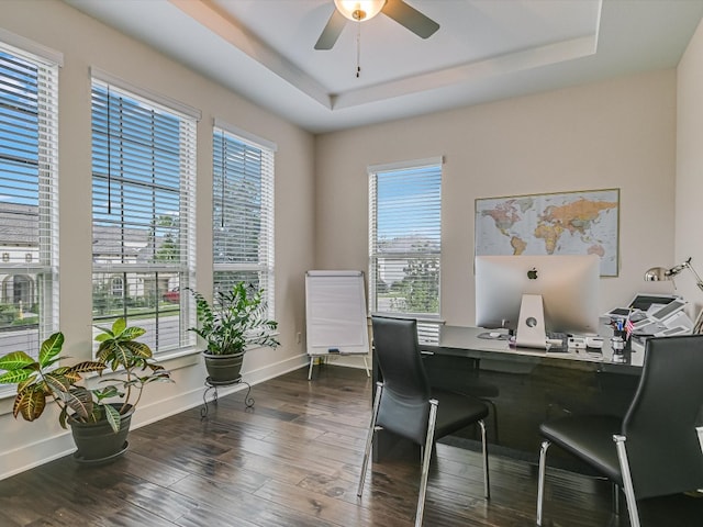 home office with a tray ceiling, ceiling fan, dark hardwood / wood-style floors, and a healthy amount of sunlight