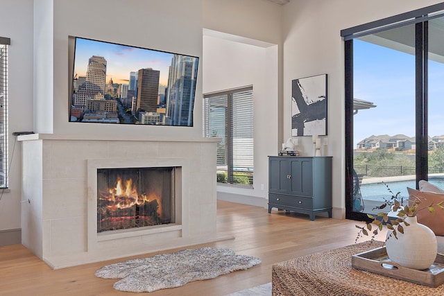 living room featuring light hardwood / wood-style floors and a fireplace