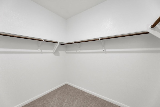 1004 Stonehill Dr, Georgetown, TX 78633 - walk in closet featuring carpet floors