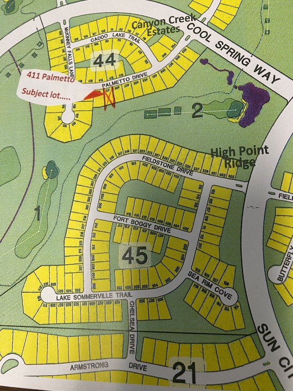 411 Palmetto Dr, Georgetown, TX 78633 - map / location